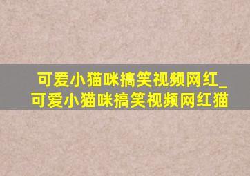 可爱小猫咪搞笑视频网红_可爱小猫咪搞笑视频网红猫