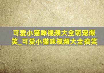 可爱小猫咪视频大全萌宠爆笑_可爱小猫咪视频大全搞笑