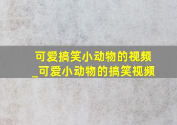 可爱搞笑小动物的视频_可爱小动物的搞笑视频