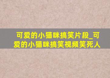 可爱的小猫咪搞笑片段_可爱的小猫咪搞笑视频笑死人