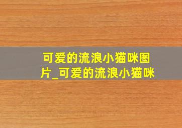 可爱的流浪小猫咪图片_可爱的流浪小猫咪