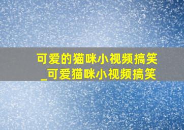 可爱的猫咪小视频搞笑_可爱猫咪小视频搞笑