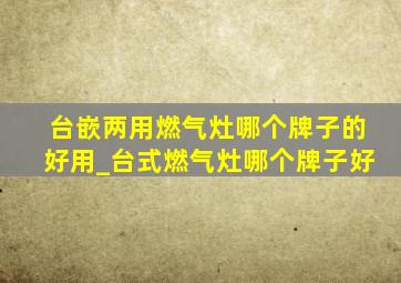 台嵌两用燃气灶哪个牌子的好用_台式燃气灶哪个牌子好