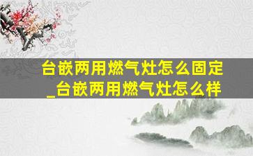 台嵌两用燃气灶怎么固定_台嵌两用燃气灶怎么样