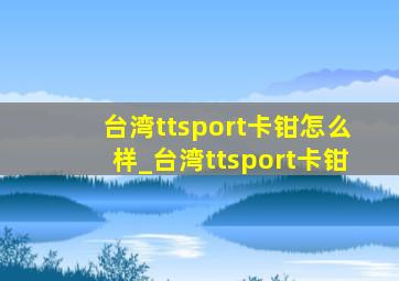 台湾ttsport卡钳怎么样_台湾ttsport卡钳