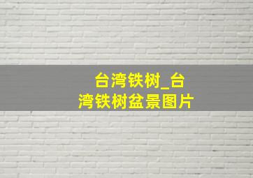 台湾铁树_台湾铁树盆景图片