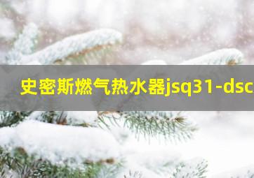 史密斯燃气热水器jsq31-dscx