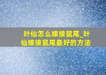 叶仙怎么嫁接鼠尾_叶仙嫁接鼠尾最好的方法