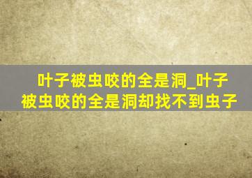 叶子被虫咬的全是洞_叶子被虫咬的全是洞却找不到虫子