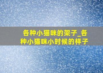 各种小猫咪的架子_各种小猫咪小时候的样子