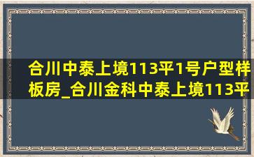 合川中泰上境113平1号户型样板房_合川金科中泰上境113平户型装修