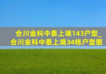 合川金科中泰上境143户型_合川金科中泰上境34栋户型图