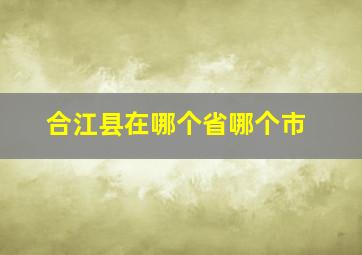 合江县在哪个省哪个市