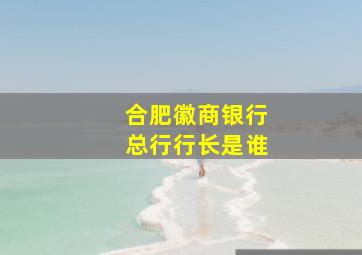 合肥徽商银行总行行长是谁