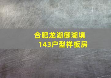 合肥龙湖御湖境143户型样板房