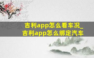 吉利app怎么看车况_吉利app怎么绑定汽车