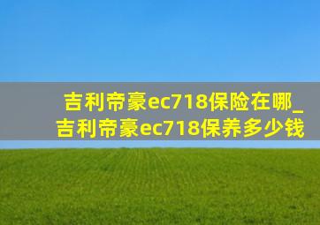 吉利帝豪ec718保险在哪_吉利帝豪ec718保养多少钱