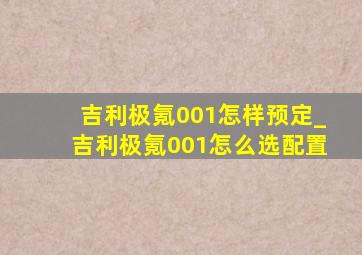 吉利极氪001怎样预定_吉利极氪001怎么选配置