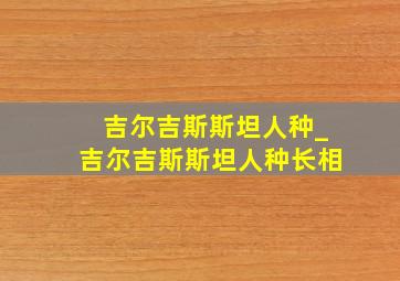 吉尔吉斯斯坦人种_吉尔吉斯斯坦人种长相