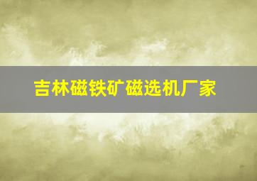 吉林磁铁矿磁选机厂家