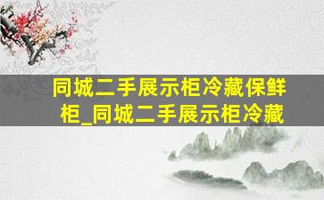 同城二手展示柜冷藏保鲜柜_同城二手展示柜冷藏