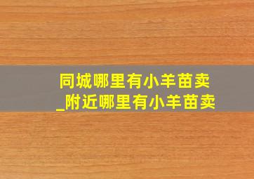 同城哪里有小羊苗卖_附近哪里有小羊苗卖