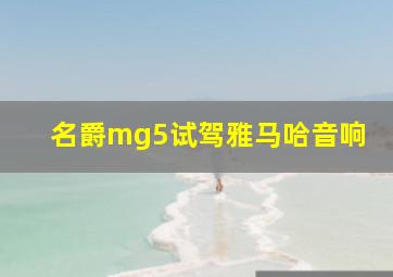 名爵mg5试驾雅马哈音响