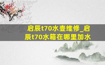 启辰t70水壶维修_启辰t70水箱在哪里加水