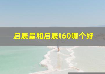 启辰星和启辰t60哪个好