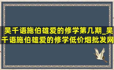 吴千语施伯雄爱的修学第几期_吴千语施伯雄爱的修学(低价烟批发网)片段