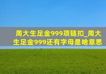 周大生足金999项链扣_周大生足金999还有字母是啥意思