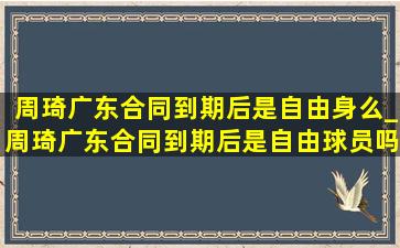 周琦广东合同到期后是自由身么_周琦广东合同到期后是自由球员吗