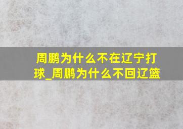 周鹏为什么不在辽宁打球_周鹏为什么不回辽篮