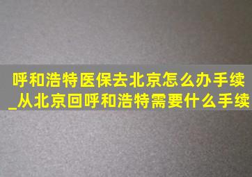 呼和浩特医保去北京怎么办手续_从北京回呼和浩特需要什么手续