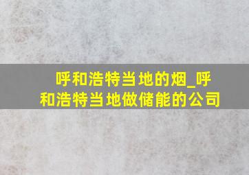 呼和浩特当地的烟_呼和浩特当地做储能的公司