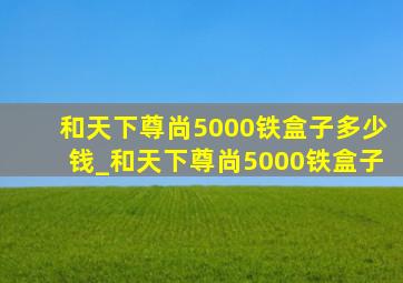 和天下尊尚5000铁盒子多少钱_和天下尊尚5000铁盒子