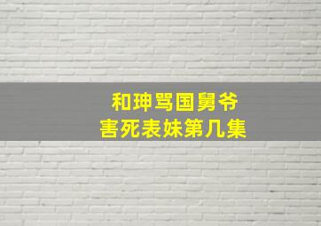 和珅骂国舅爷害死表妹第几集