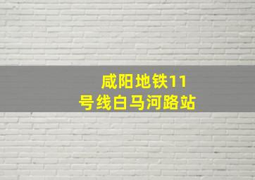 咸阳地铁11号线白马河路站