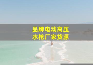 品牌电动高压水枪厂家货源