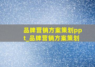 品牌营销方案策划ppt_品牌营销方案策划