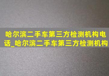 哈尔滨二手车第三方检测机构电话_哈尔滨二手车第三方检测机构