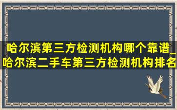 哈尔滨第三方检测机构哪个靠谱_哈尔滨二手车第三方检测机构排名