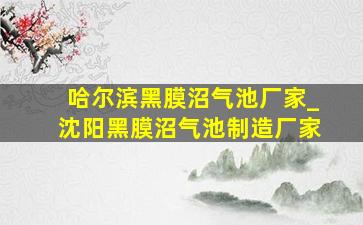 哈尔滨黑膜沼气池厂家_沈阳黑膜沼气池制造厂家