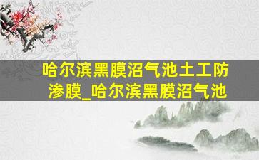 哈尔滨黑膜沼气池土工防渗膜_哈尔滨黑膜沼气池