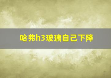 哈弗h3玻璃自己下降