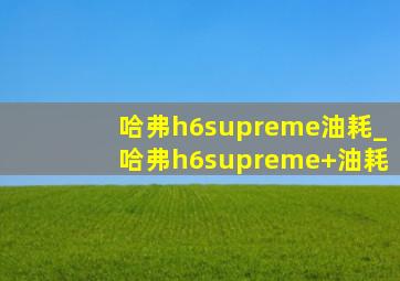 哈弗h6supreme油耗_哈弗h6supreme+油耗