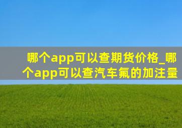 哪个app可以查期货价格_哪个app可以查汽车氟的加注量