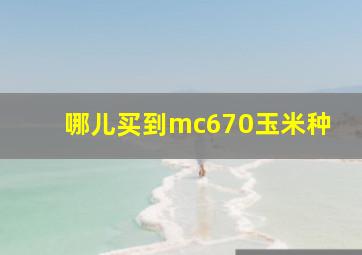 哪儿买到mc670玉米种