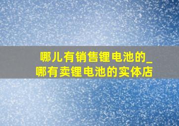 哪儿有销售锂电池的_哪有卖锂电池的实体店