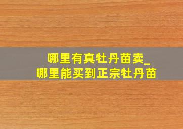 哪里有真牡丹苗卖_哪里能买到正宗牡丹苗